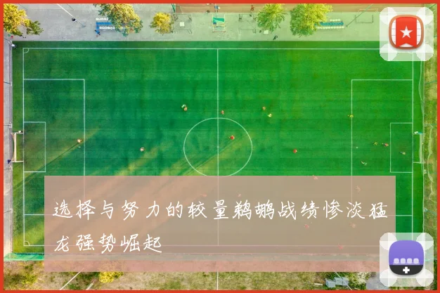 选择与努力的较量鹈鹕战绩惨淡猛龙强势崛起
